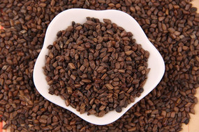 ��ҩ�ĳ�������