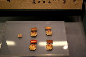 ��ƽ����������ѫ��