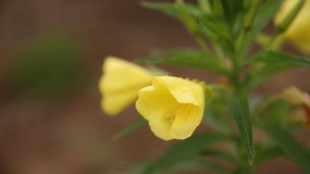 ���޵Ļ���