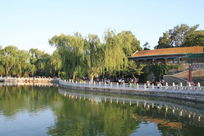 �����ذ�