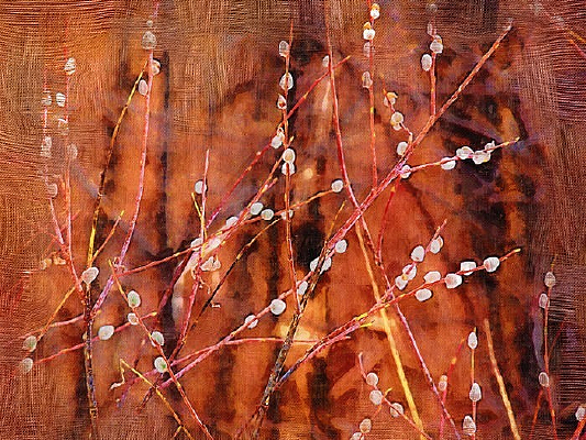 �����ͻ������޻���