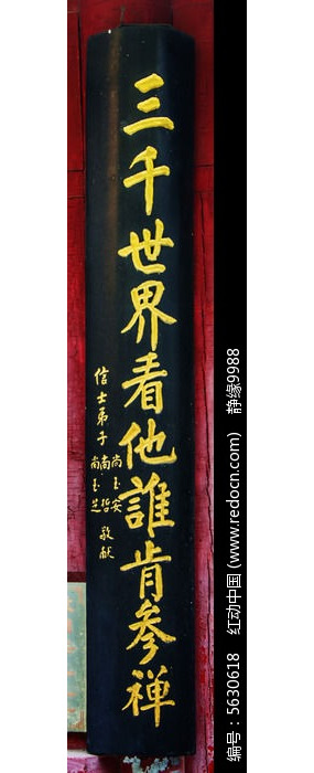 ǧɽ��Խ�����޸�Ӧ�������ǧ���翴��˭�ϲ���