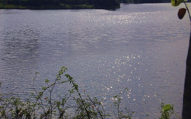 �������Եĺ���