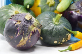 �����Ϲ�����