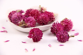 ����ǧ�պ�