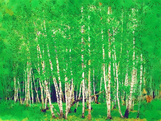 ���Գ��󻭡�������֮�ġ�