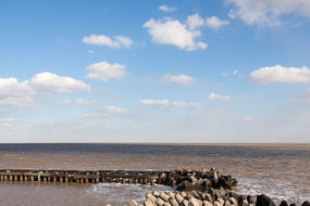 ������ֳ