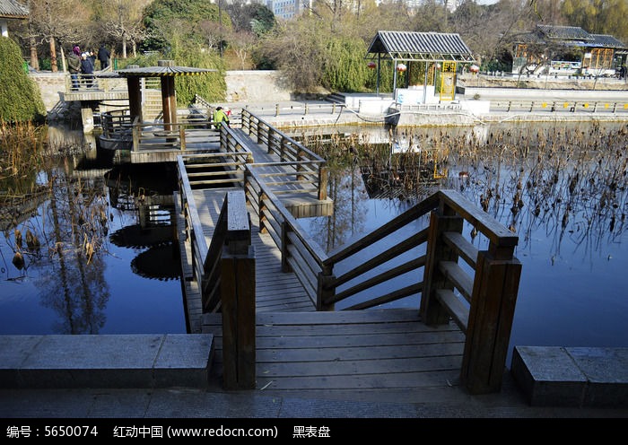 荷塘内的曲折木桥