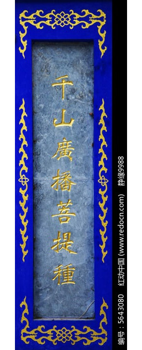 ���ǧɽ�㲥������