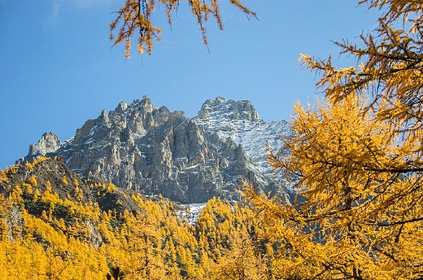 ���������ɽ