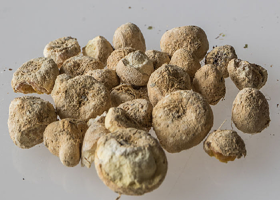 ��������ҩ