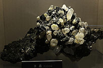 �����ʵ�