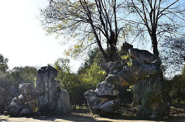 ��̬԰��ʯȺ