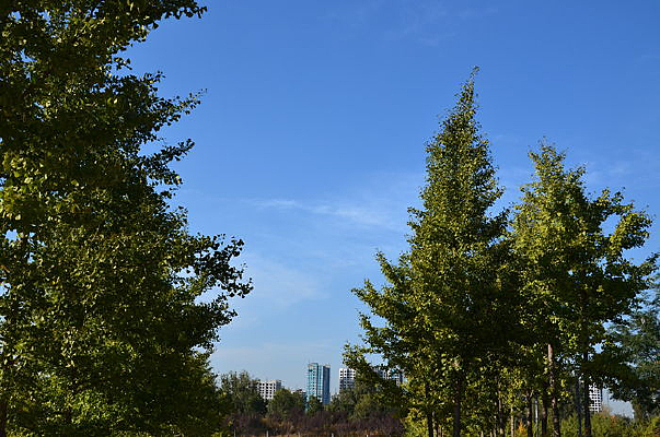 �����̻�