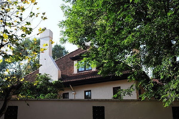 ��ɫ�ı���