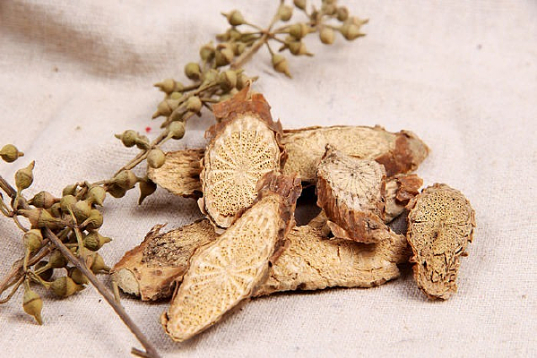 ��ҩ������