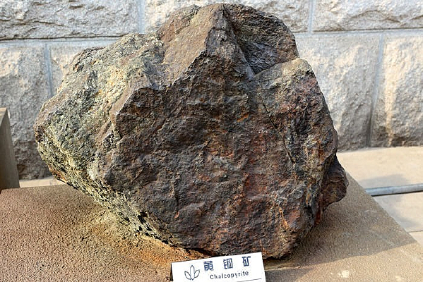 ����ͭ���ͭ��걾