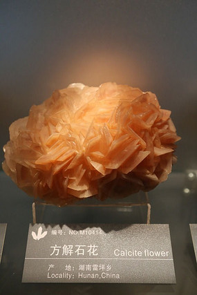 ���ʲ���ݺ��Ϸ���ʯ������걾