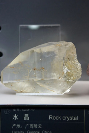 ����ˮ������걾