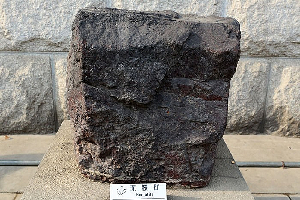 ������ѧ