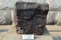 ������ѧ