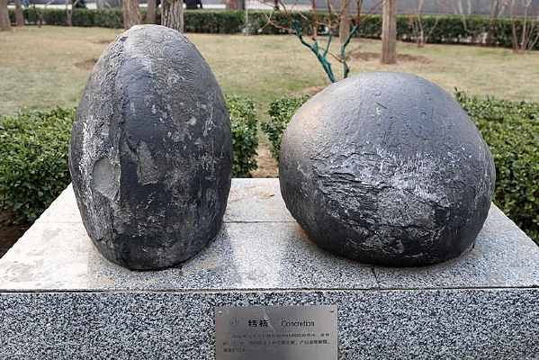 ���Ͻ�˿���걾