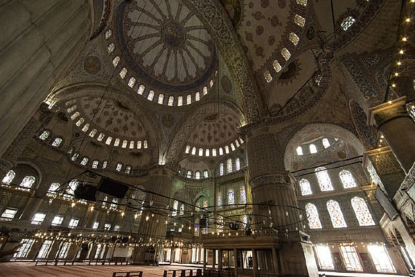 ��ɫ������