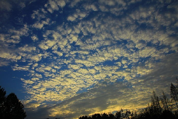 �����ƶ�