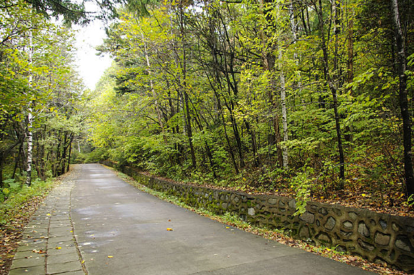 ������Ҷ��԰