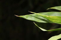 �Ұ�����