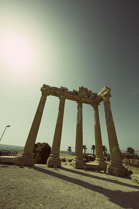 Ϧ������