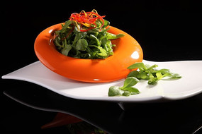  ����ɫ������