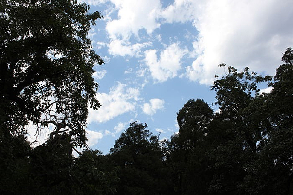 ��ɽ��԰�羰��Ӱͼ