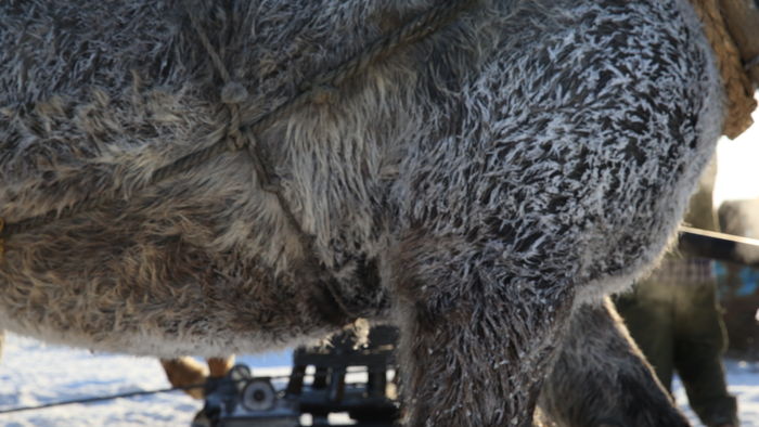 ��������