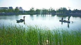 ����º�������̦�Ĺ���