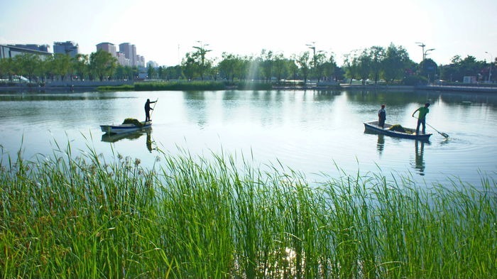 ����º�������̦�Ĺ���