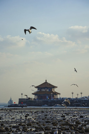 �ൺջ�ŵĽ���