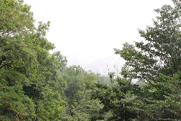 ��ɽ����