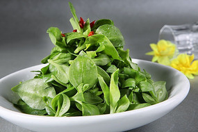  ˬ��������