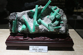 ������ĸ�̿�ʯ�걾