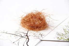 ��ҩ������ͼƬ