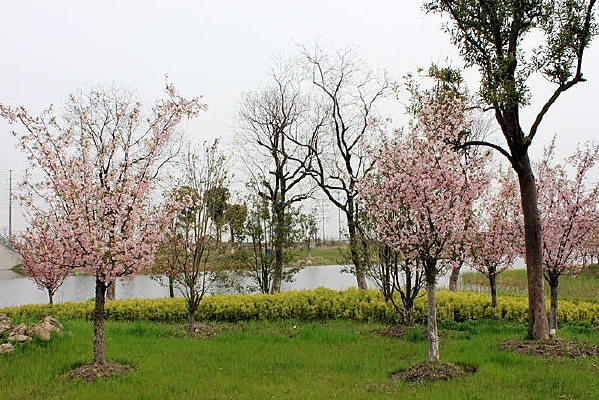 ���ߵĺ����ַ羰��Ӱ