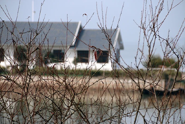 ���߽�������