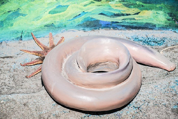 ��������