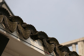 ��ʽ������ӰͼƬ