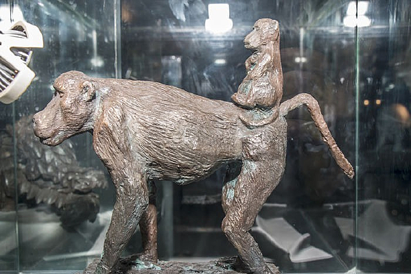 Գ��ĸ�ӵ���