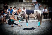 ���� ����