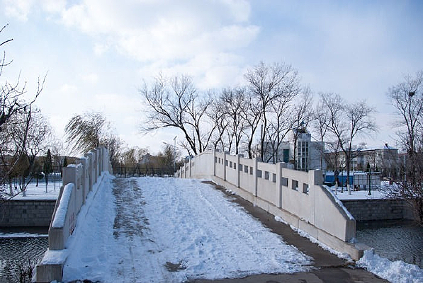 ������԰С��ѩ��