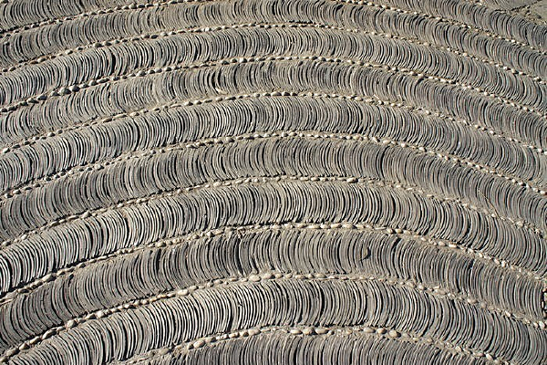 ������Ƭ�ز�