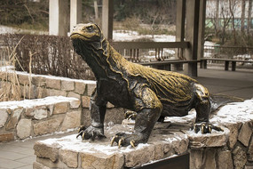 ����ͭ��